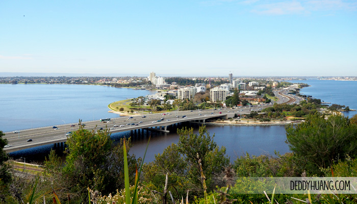 kings-park-botanical-garden