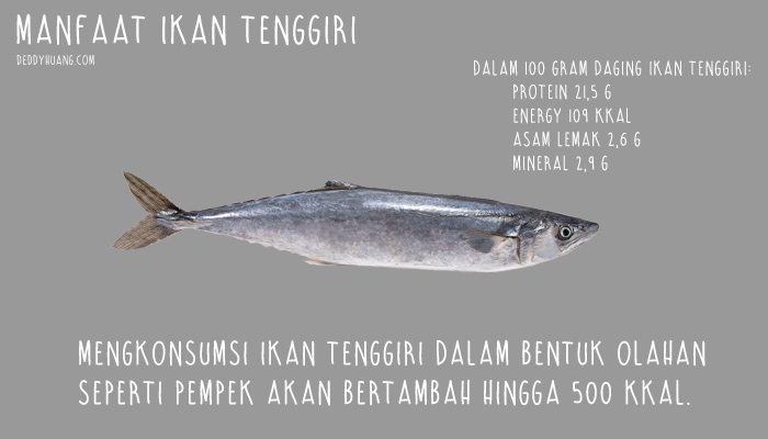 manfaat-ikan-tenggiri