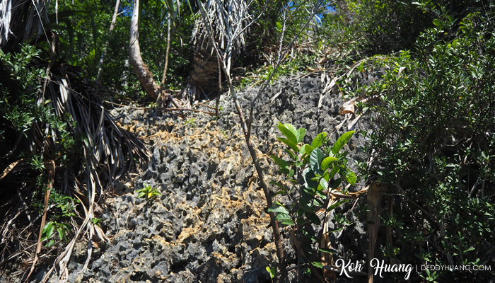 Medan jalur rock climbing