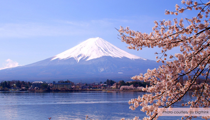 gunung-fuji-sakura