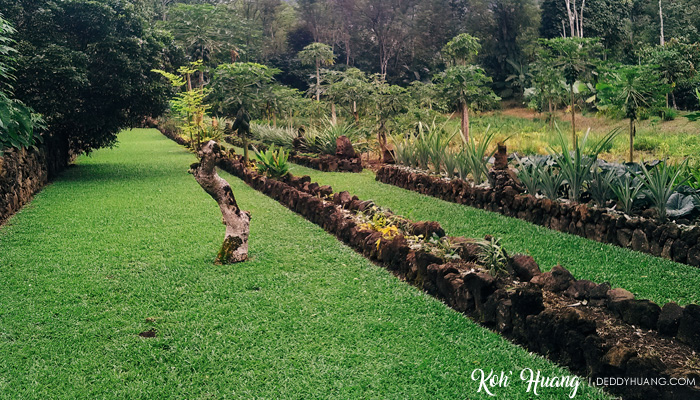 taman cantik di desa bandu agung