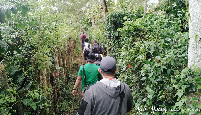 foto masuk ke taman batu organik