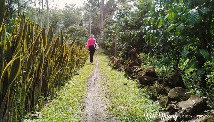 foto taman batu organik