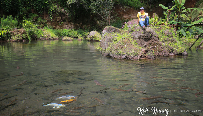 spot foto bagus di green paradise