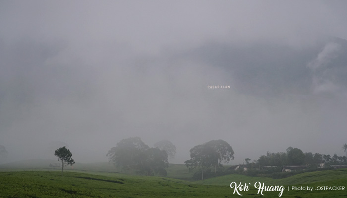 kabut pagaralam