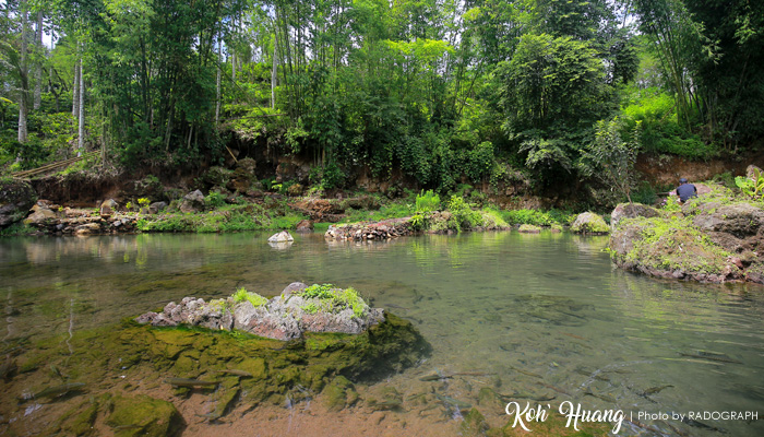 kolam ikan semah pagaralam