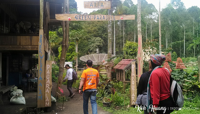 green paradise pagaralam