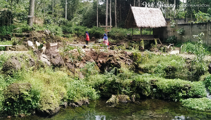 sekitar green paradise