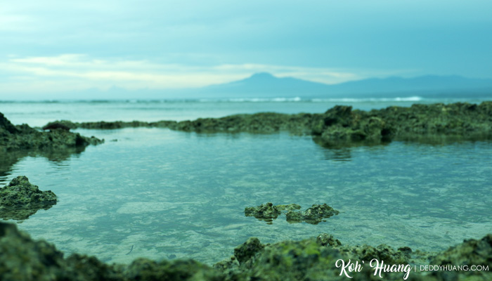 pantai tanjung setia