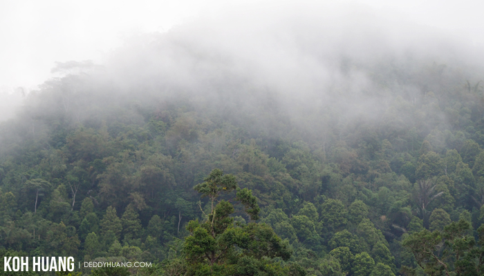 kabut awan