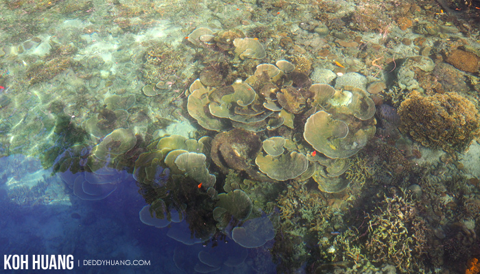 batu gua raja ampat