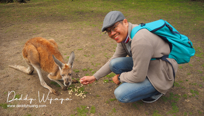 caversham wildlife park