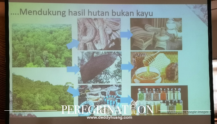 produk hutan non kayu