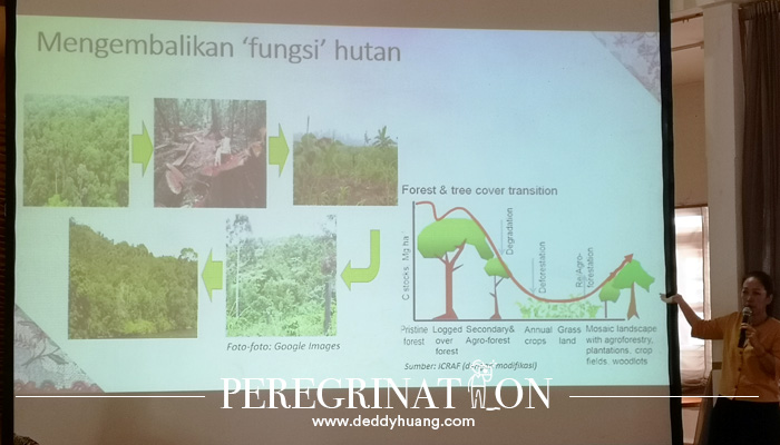 mitigasi fungsi hutan