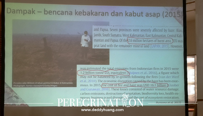 kebakaran hutan