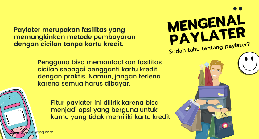 apa itu paylater